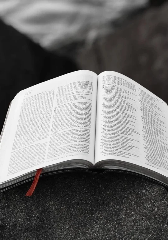 Lectio Divina for Busy Moms